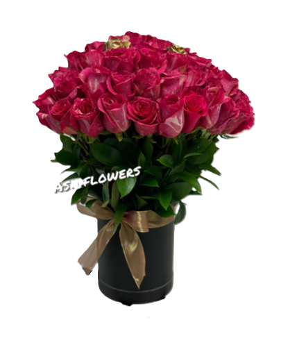 Box of 50 Hot pink Roses