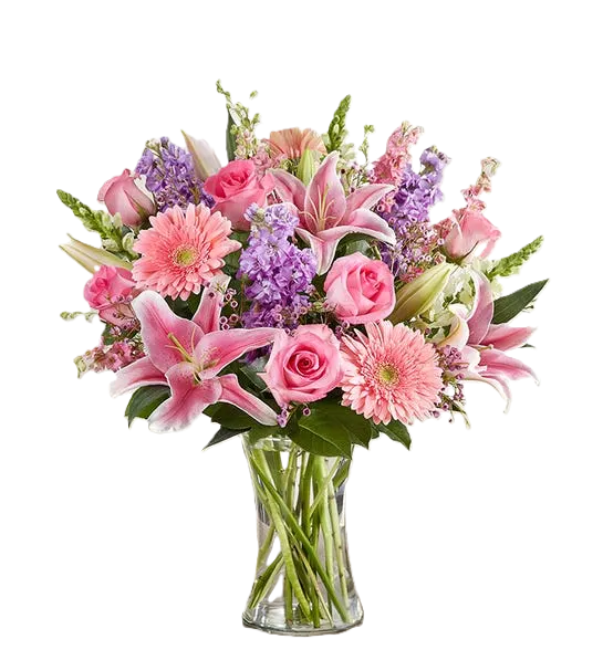 Pretty petals blooms