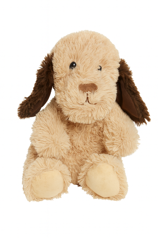 Brown Dog