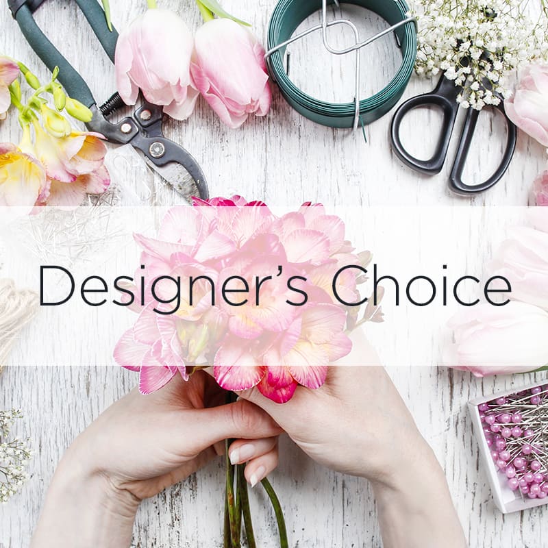 Large Designers choice