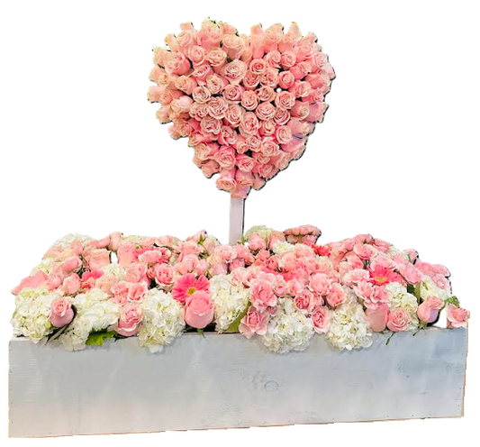 Rose Wonderland