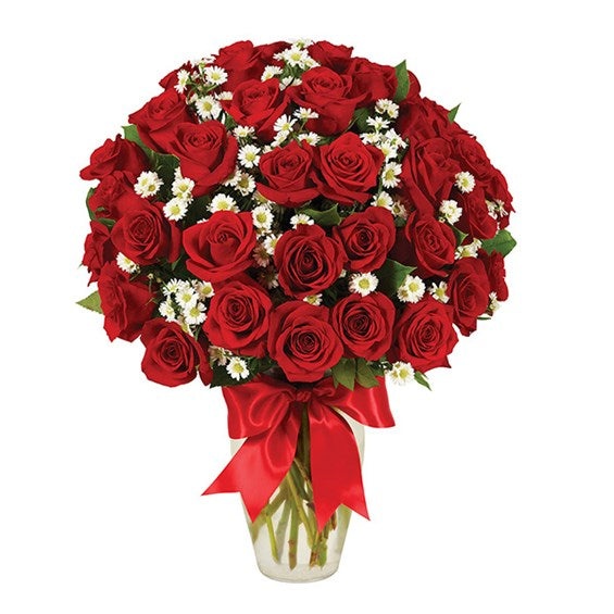 3 Dozen Roses - Red